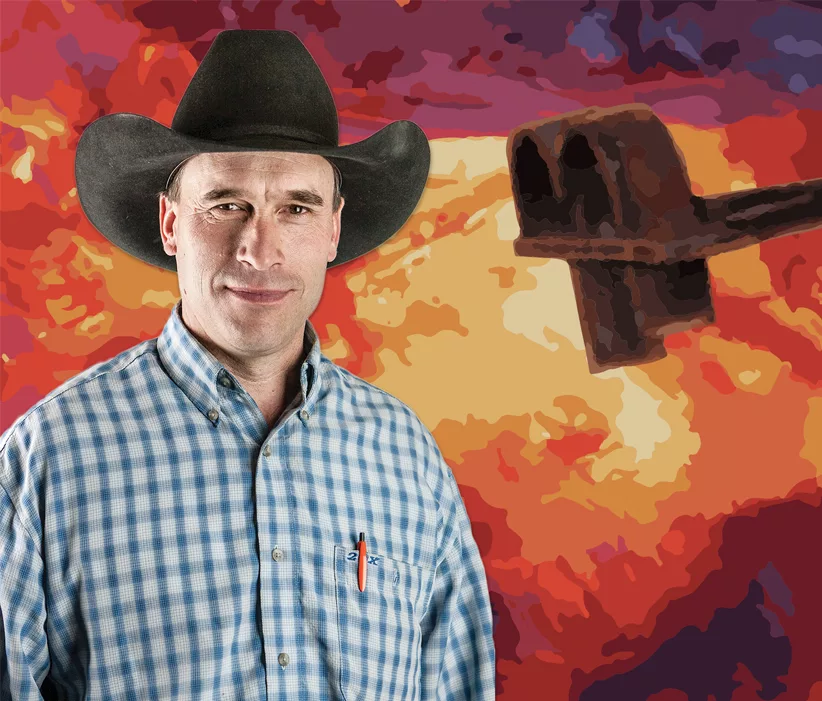 irons-in-the-fire.png